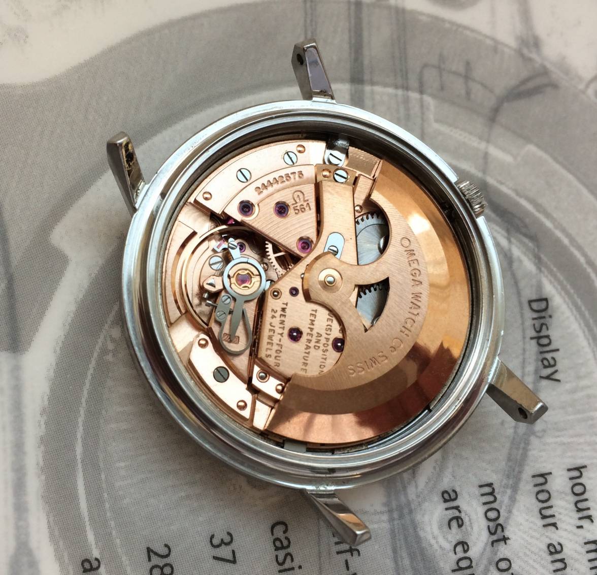 IMG_1944.jpg IMG_1944.jpg