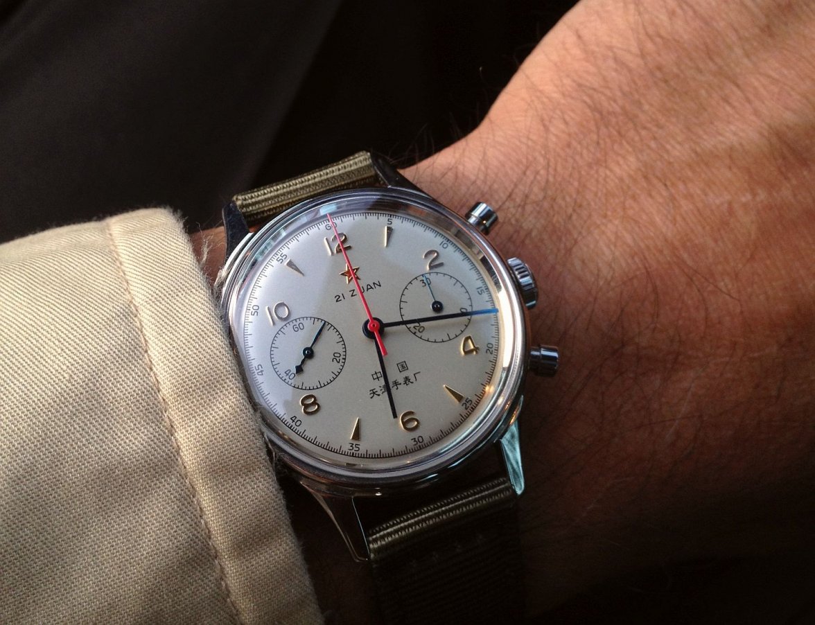 Seagull ws 1 IMG_3692.jpg