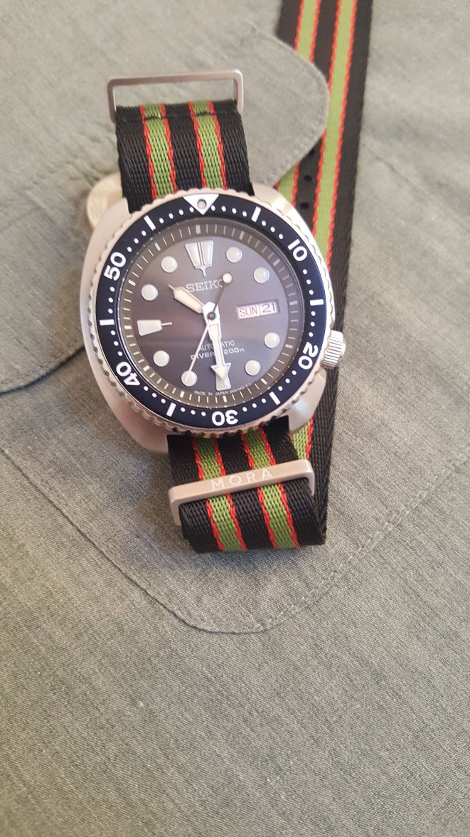 my-turtle on red:green:black nato.jpg