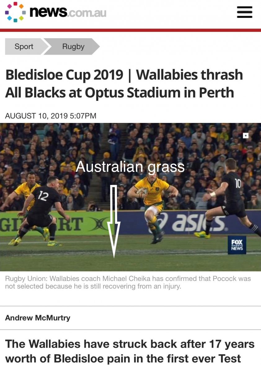 Australian grass - Copy.jpg