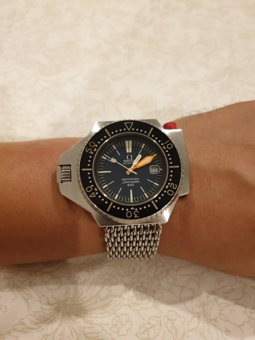 20190817_010958.jpg
