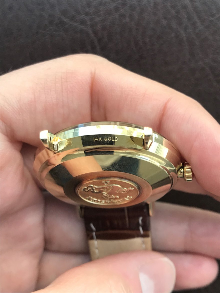 IMG_1730a.jpg IMG_1730a.jpg