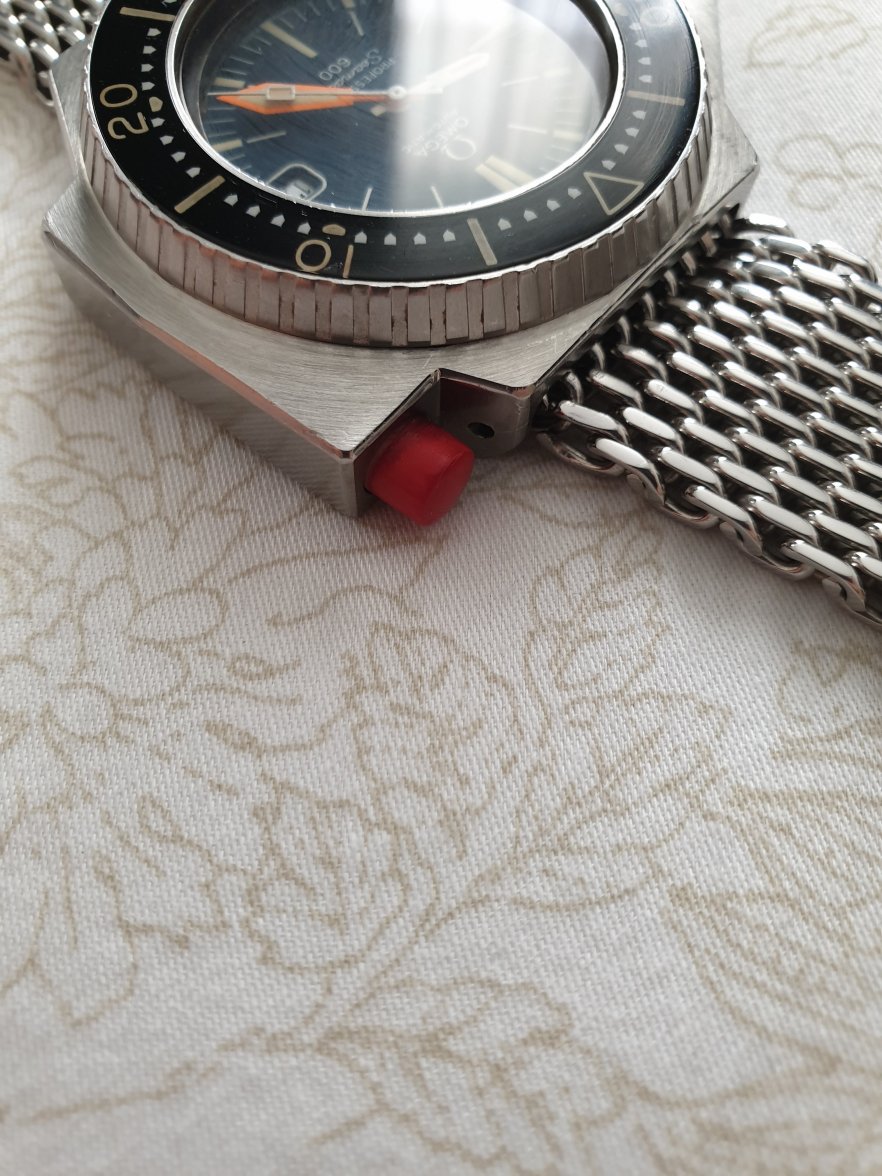 20190817_092211.jpg