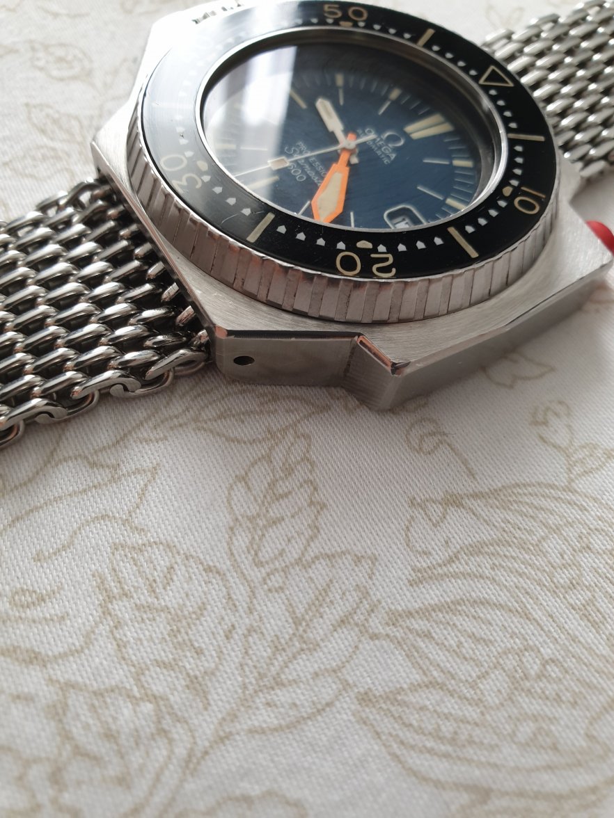 20190817_092219.jpg