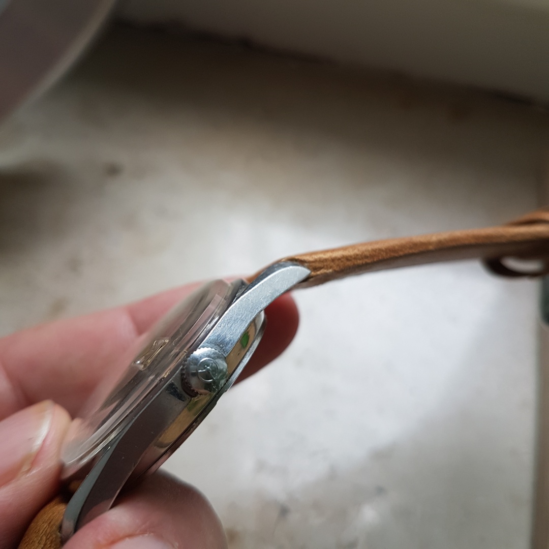 20190403_162545_resized.jpg 20190403_162545_resized.jpg