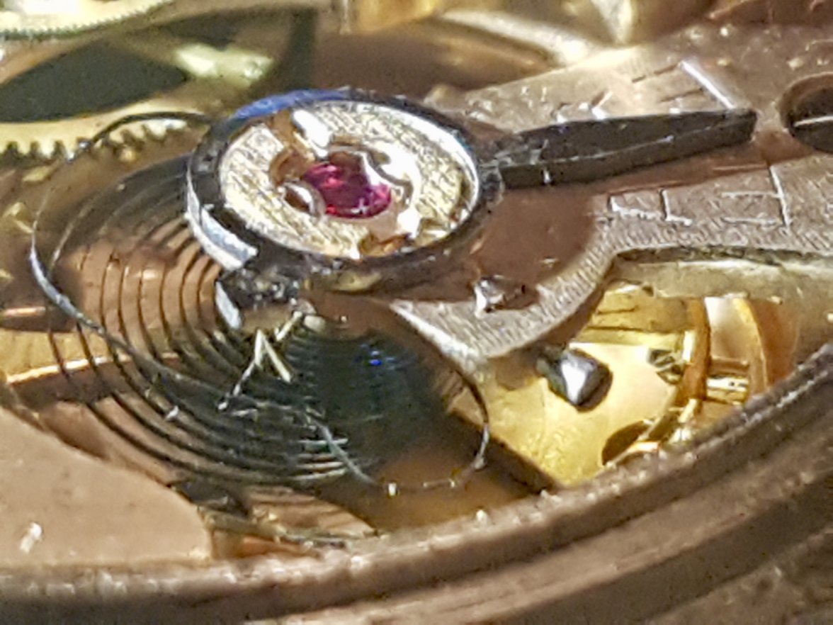 20190822_222202 2.jpg