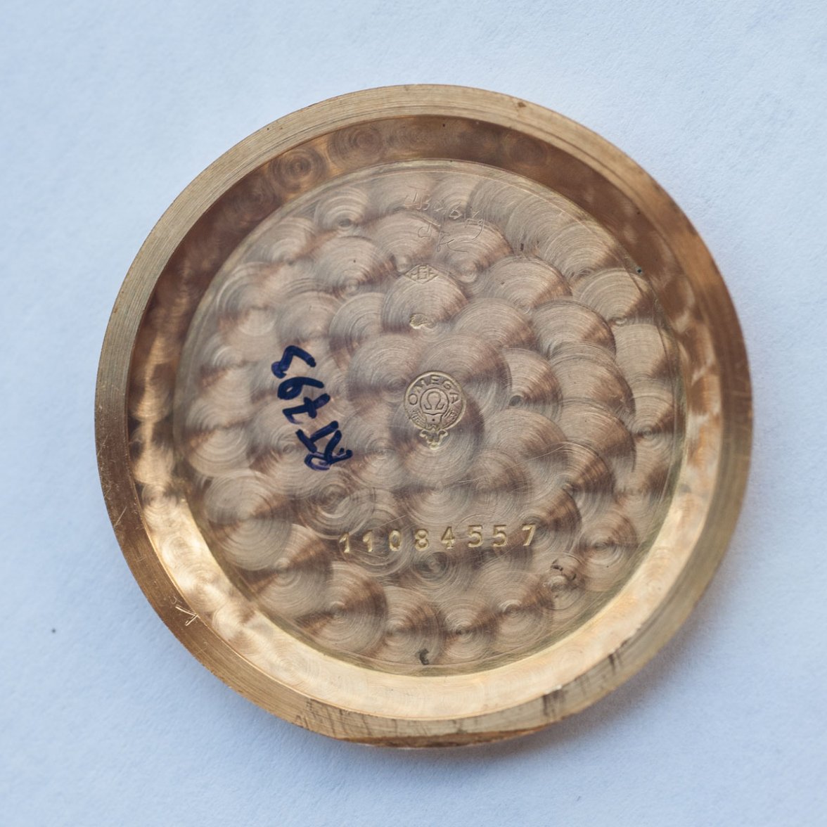 _DSC9445.jpg _DSC9445.jpg