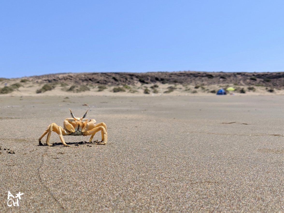 2019-08-24 05.50.30 1.jpg