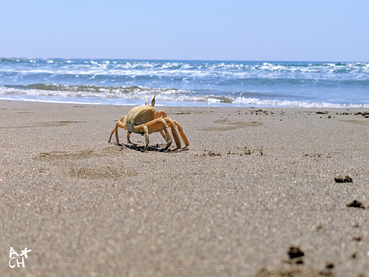 2019-08-24 05.47.42 1.jpg