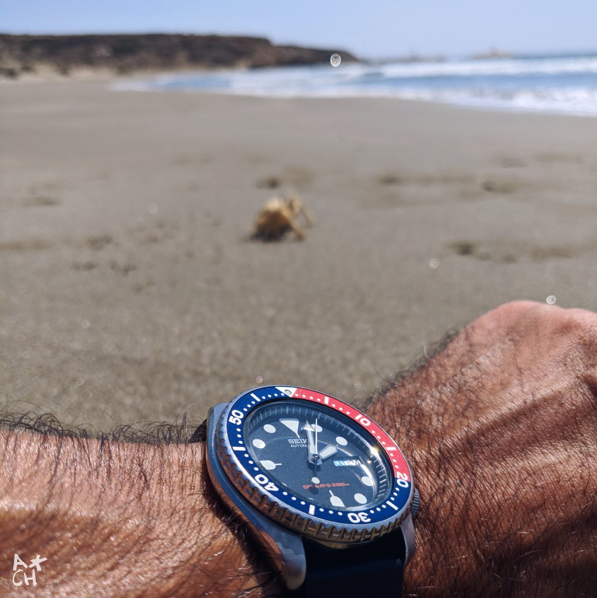 2019-08-24 03.38.48 1.jpg