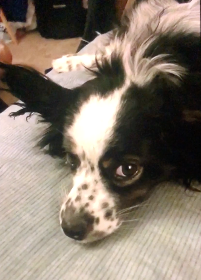 Screenshot 2019-08-24 22.05.04.png