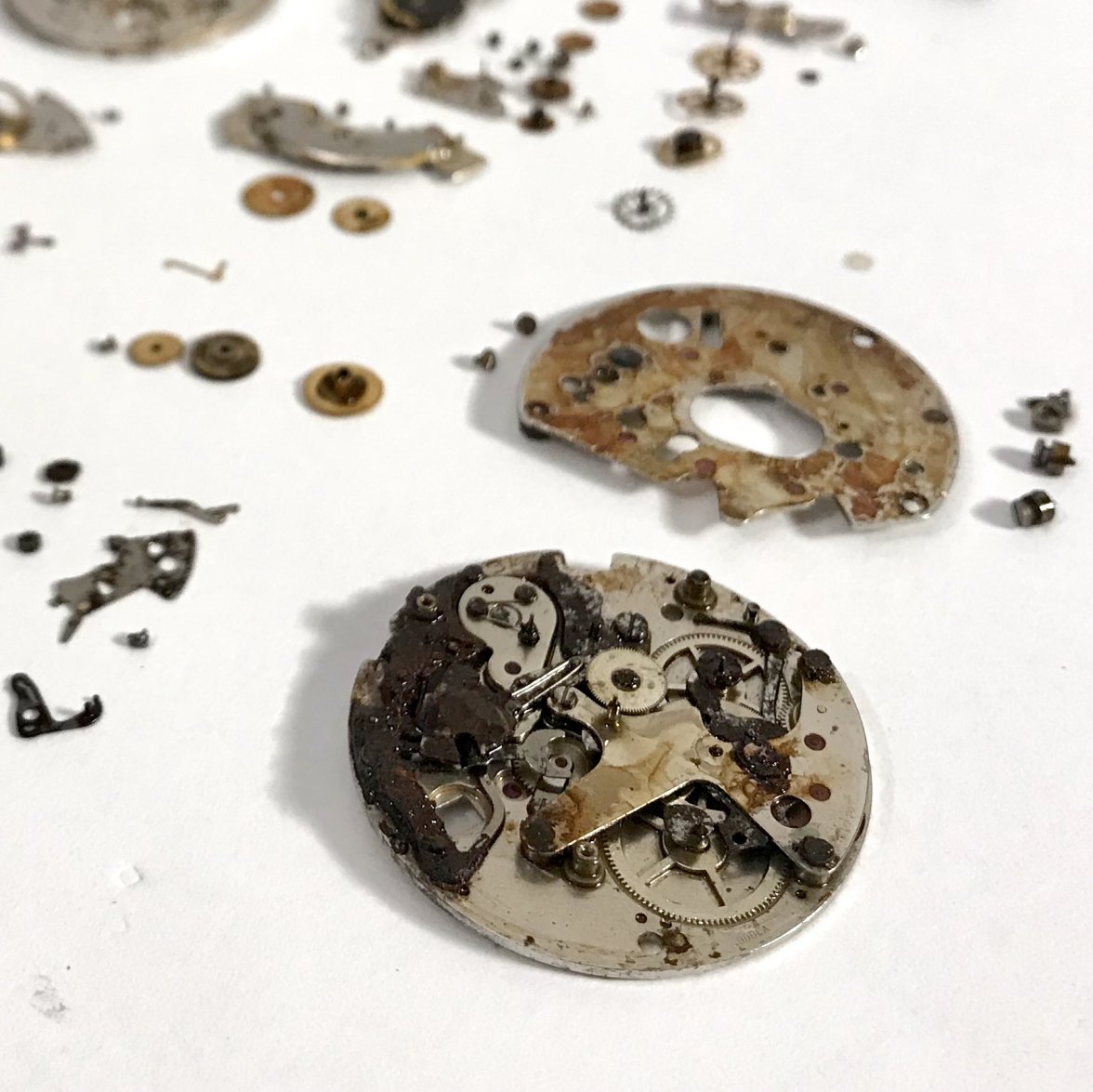 B748D4A5-EEFA-4E8A-8C25-345D5781110F.jpeg B748D4A5-EEFA-4E8A-8C25-345D5781110F.jpeg