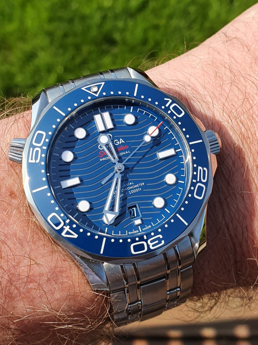 20190827_113513[1].jpg