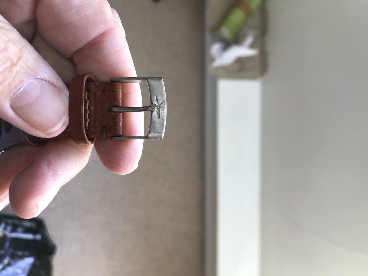 2667B5D9-4FC8-477F-BE19-882310A7044B.jpeg 2667B5D9-4FC8-477F-BE19-882310A7044B.jpeg