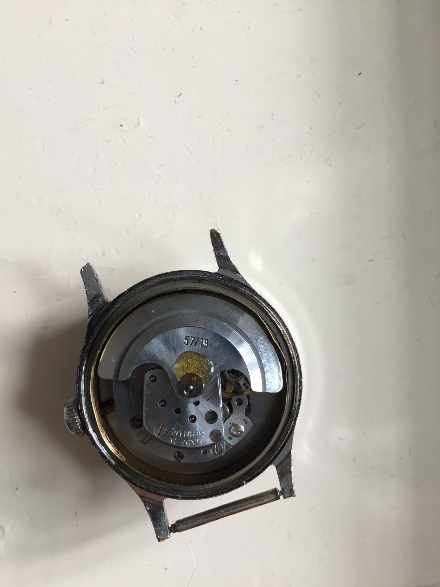 0F107B6D-ABBE-4095-974F-2D0D28ED0BC1.jpeg 0F107B6D-ABBE-4095-974F-2D0D28ED0BC1.jpeg