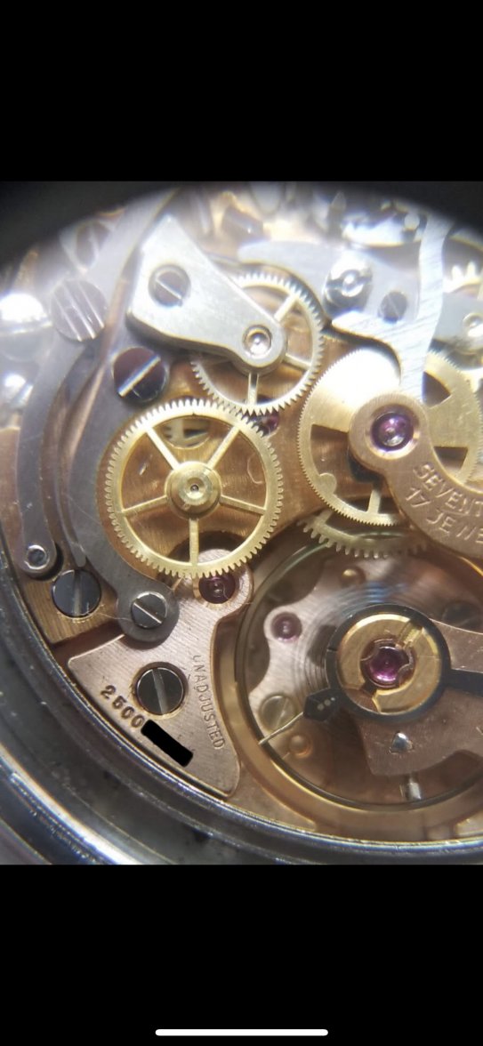 BA6EB0DC-C9E5-40BE-8519-20ABF8FFF586.jpeg BA6EB0DC-C9E5-40BE-8519-20ABF8FFF586.jpeg