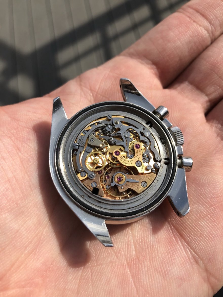 F006820F-AC69-40BC-80C9-AB2889466EA2.jpeg F006820F-AC69-40BC-80C9-AB2889466EA2.jpeg