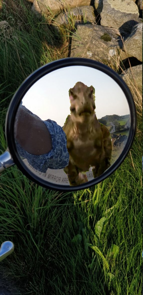 tyro.jpg