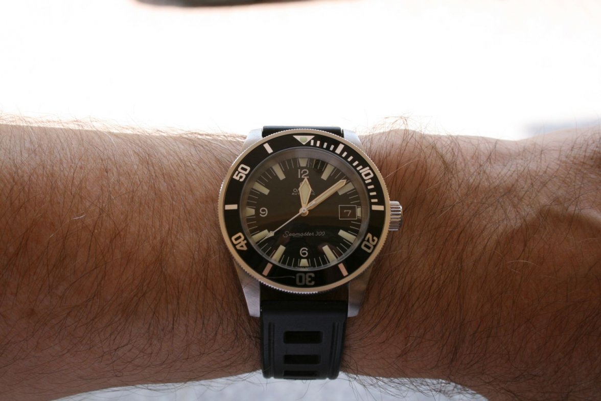 alternative sm300.jpg