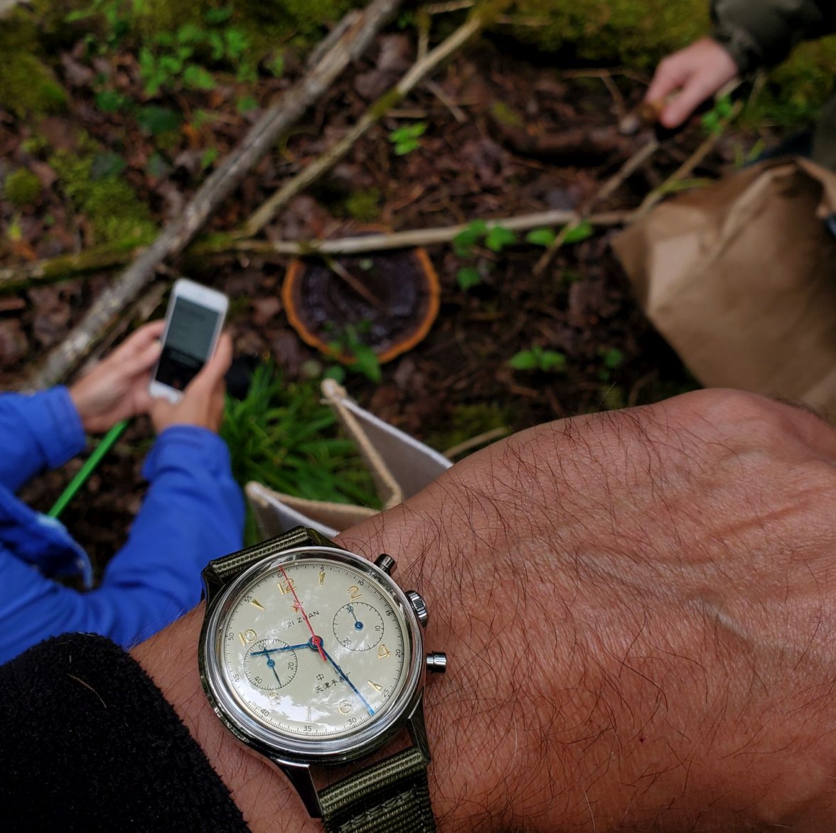 Seagull ws 1 20190908_092757.jpg