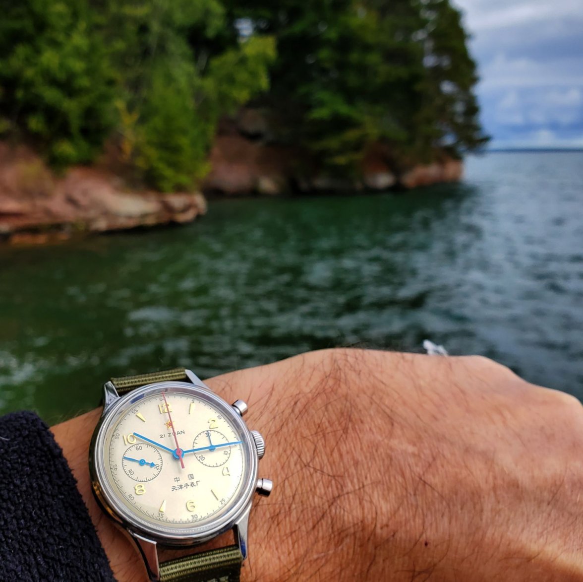 Seagull ws 2 20190908_101516.jpg