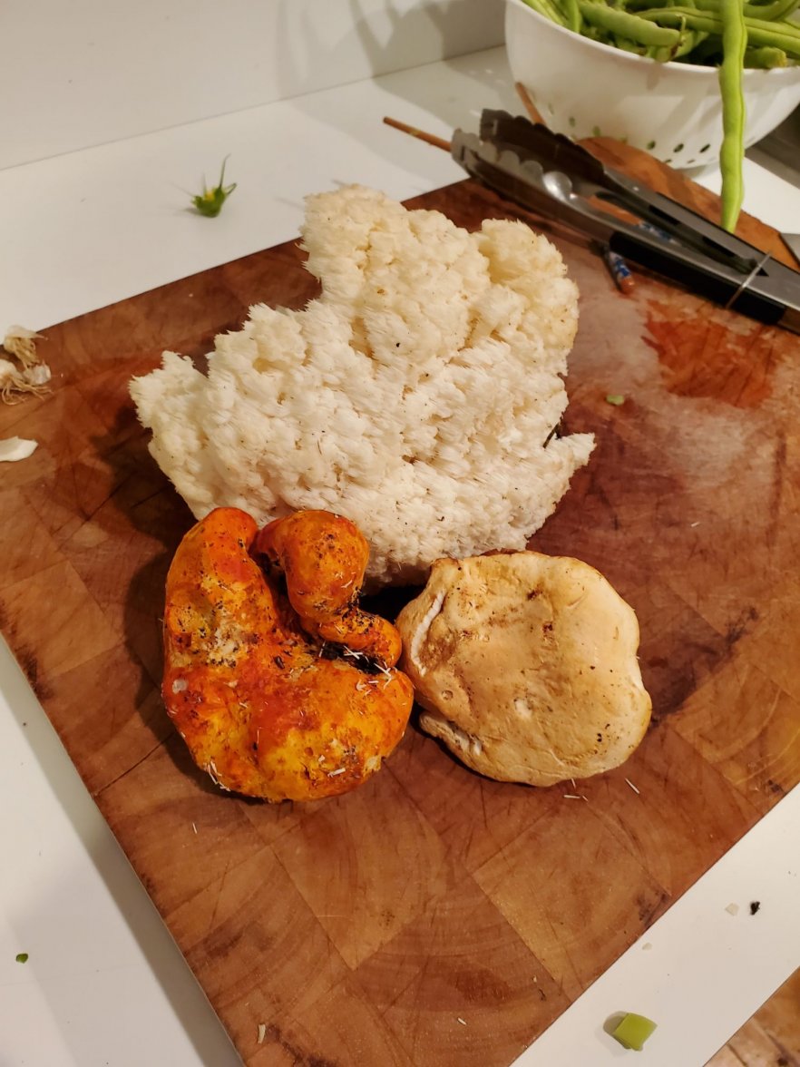 mushrooms 3 20190908_195436.jpg