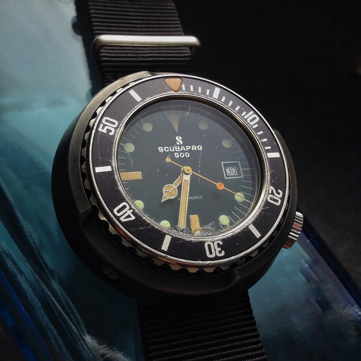 IMG_5135.JPG IMG_5135.JPG