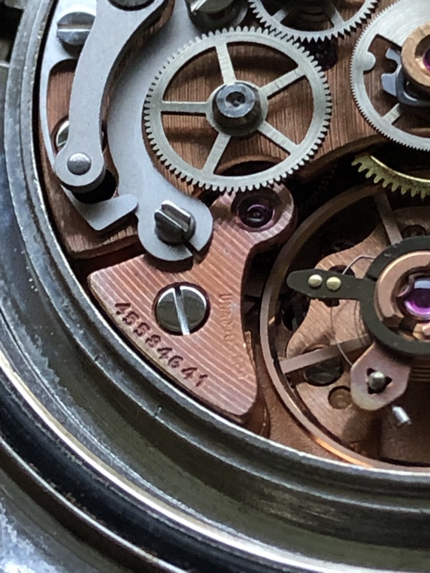 E68D9934-5C60-492D-9B95-524B8FE5DB55.jpeg E68D9934-5C60-492D-9B95-524B8FE5DB55.jpeg