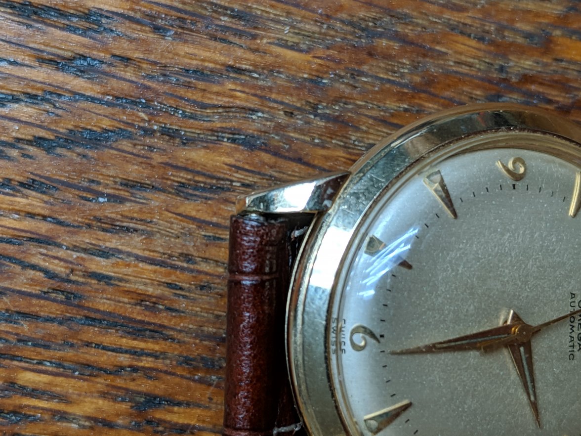 IMG_20190919_095529.jpg IMG_20190919_095529.jpg