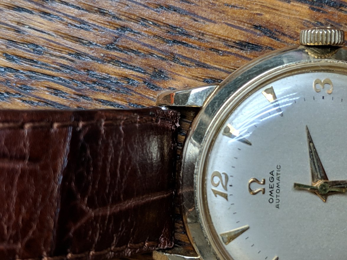 IMG_20190919_095502.jpg IMG_20190919_095502.jpg