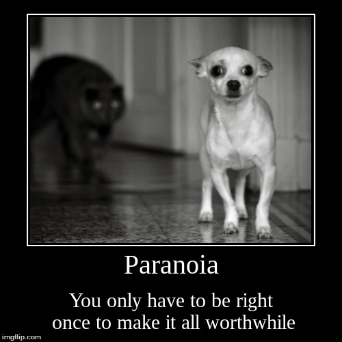 Paranoia.jpg Paranoia.jpg