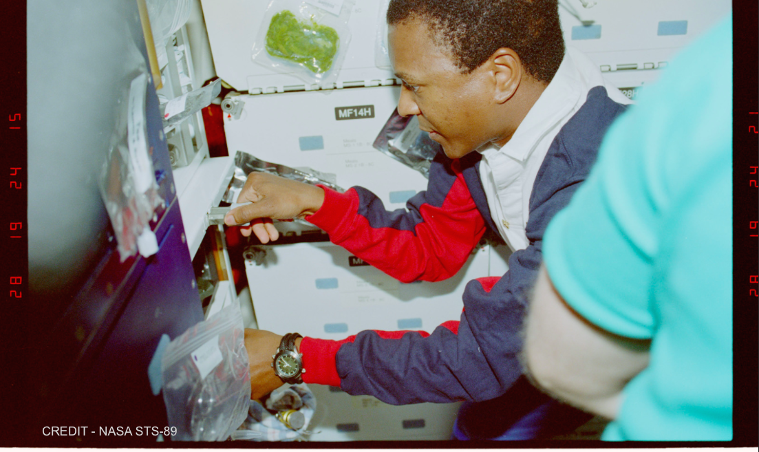 Michael Anderson.png