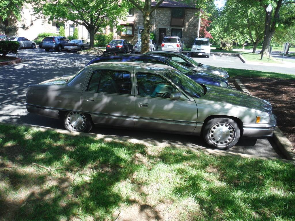 deville pic.jpg
