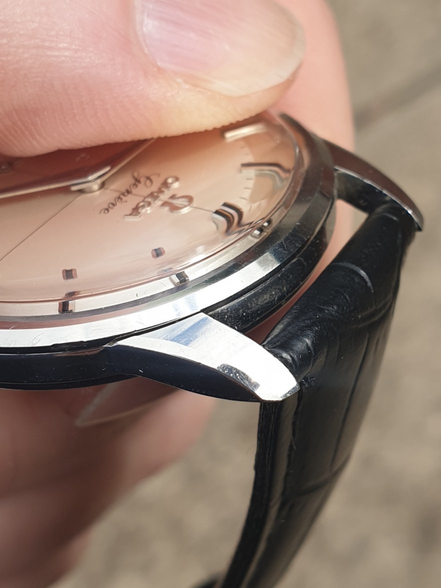 20190928_124335.jpg 20190928_124335.jpg