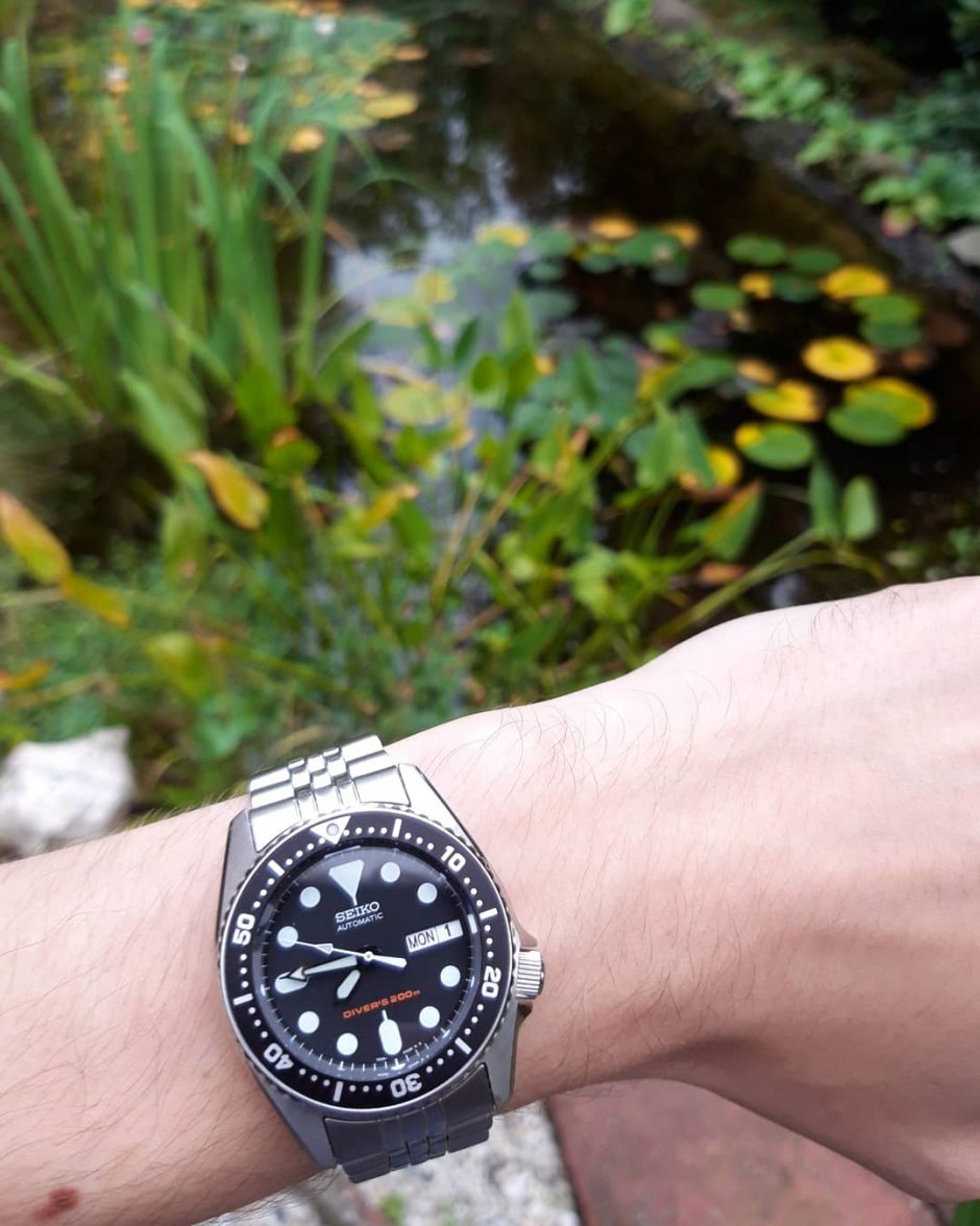 IMG_20190921_192901_805.jpg IMG_20190921_192901_805.jpg