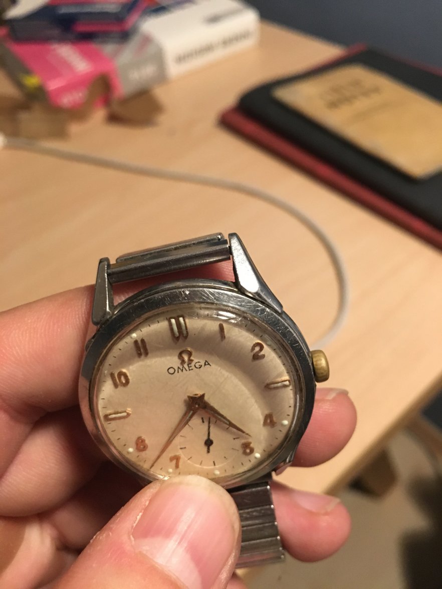 IMG_6995.JPG IMG_6995.JPG