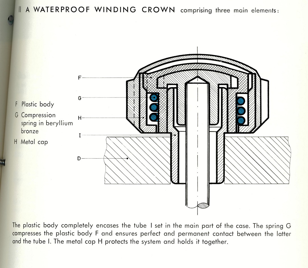 T12_crown.jpg