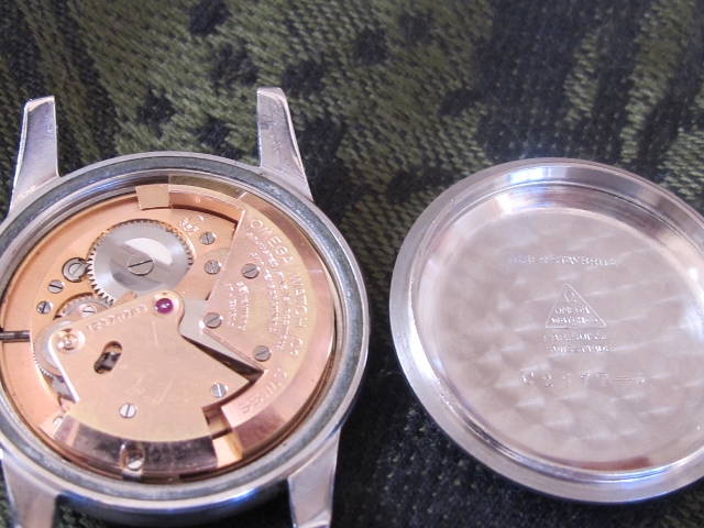 Pic 13 (640x480).jpg