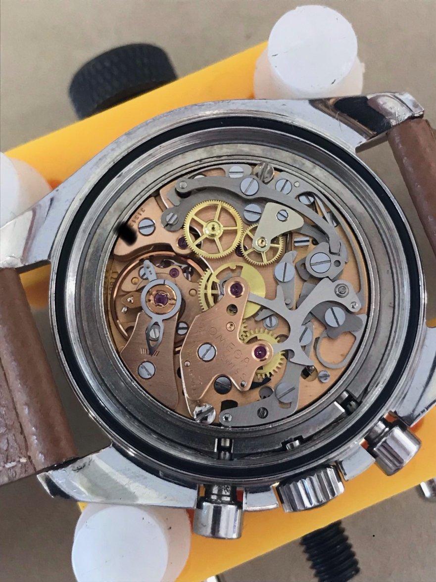 IMG-0302.JPG IMG-0302.JPG