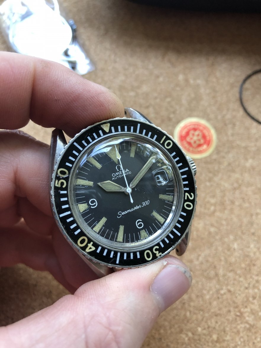 0A91D79B-3540-4862-8761-484DADCA2A45.jpeg 0A91D79B-3540-4862-8761-484DADCA2A45.jpeg