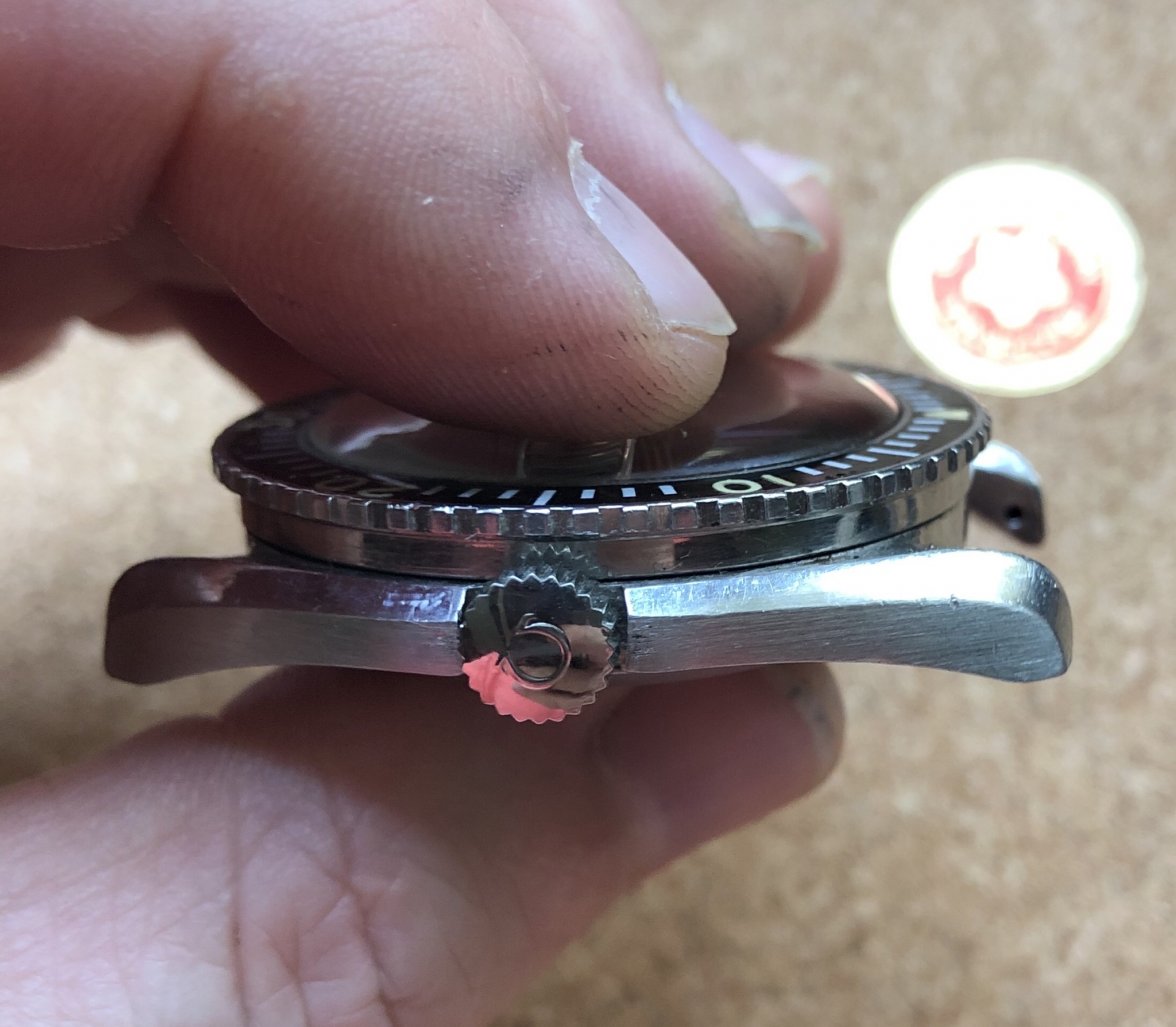 1062D342-9043-43FB-A203-118B04469729.jpeg 1062D342-9043-43FB-A203-118B04469729.jpeg