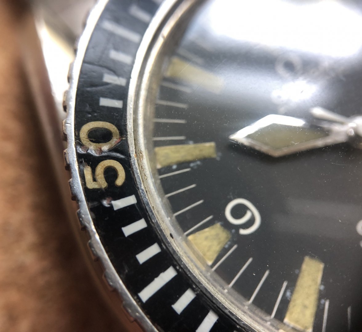 E2365EB5-023B-48FD-ABC1-0F3719DDC7C2.jpeg E2365EB5-023B-48FD-ABC1-0F3719DDC7C2.jpeg