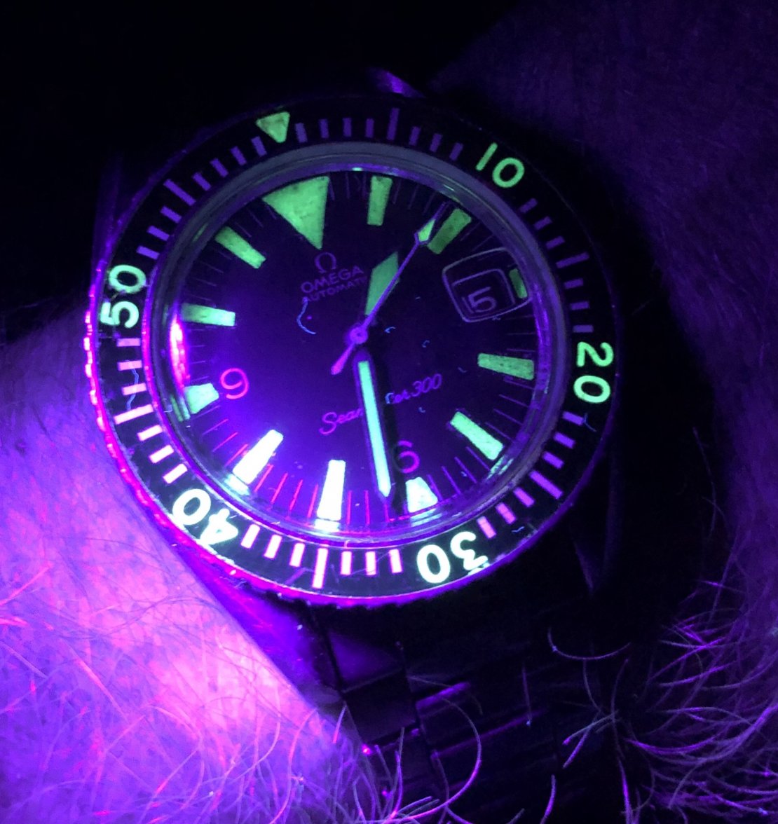 7EE99911-C374-4EFB-8176-D1D050817C8F.jpeg 7EE99911-C374-4EFB-8176-D1D050817C8F.jpeg