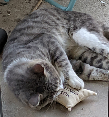 MVIMG_20190905_074544.jpg