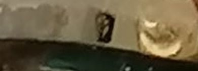 Clipboard01.jpg Clipboard01.jpg