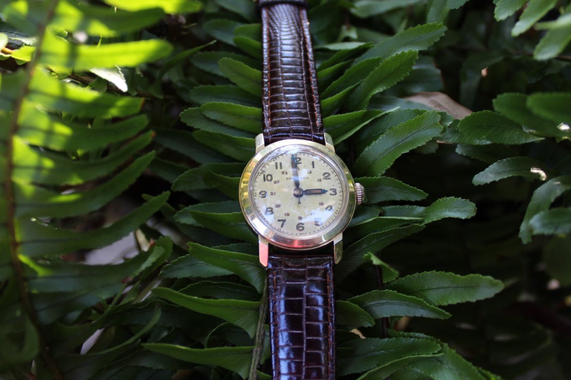 WATCH 5.jpg
