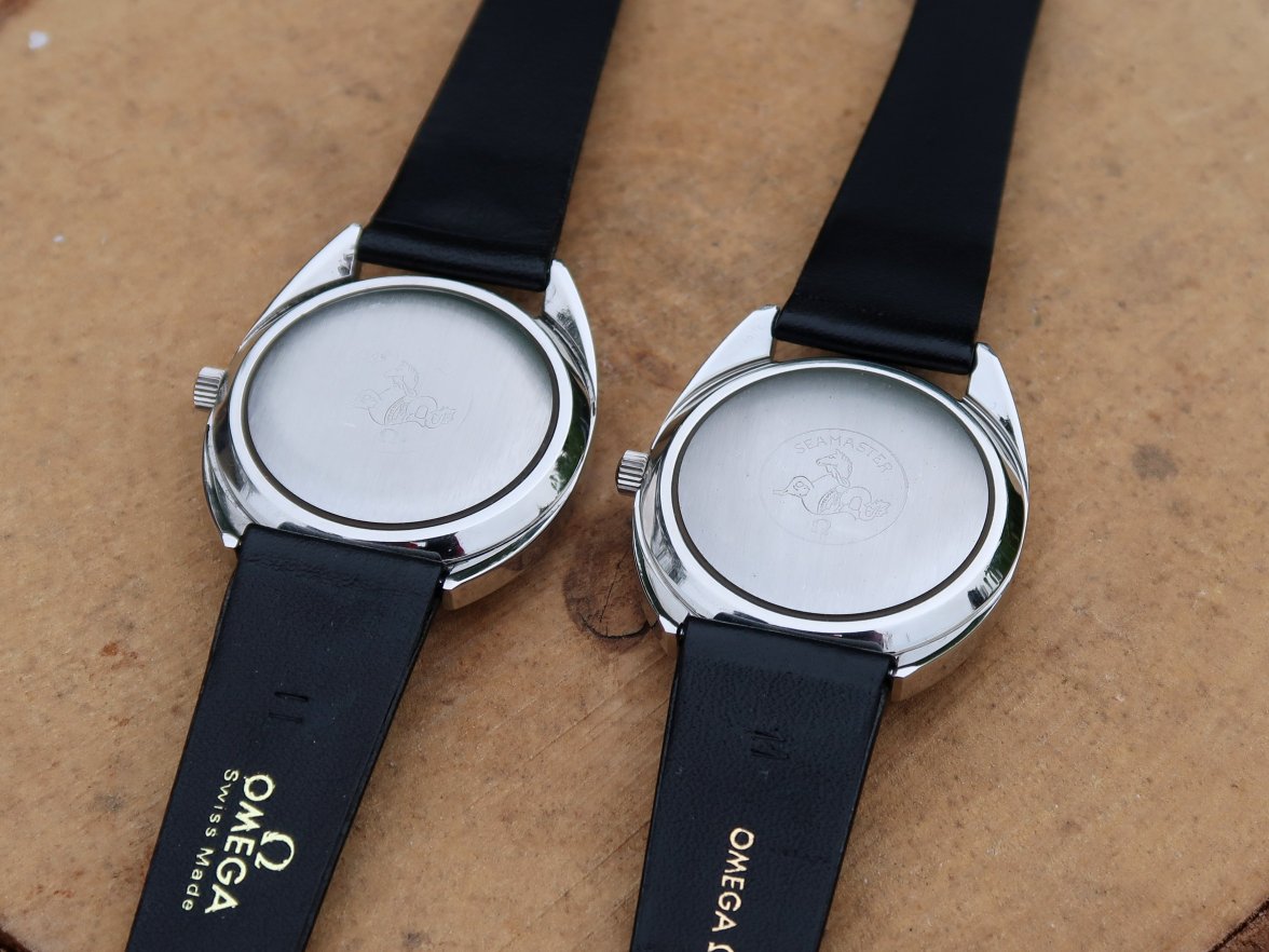 IMG_6915.JPG IMG_6915.JPG