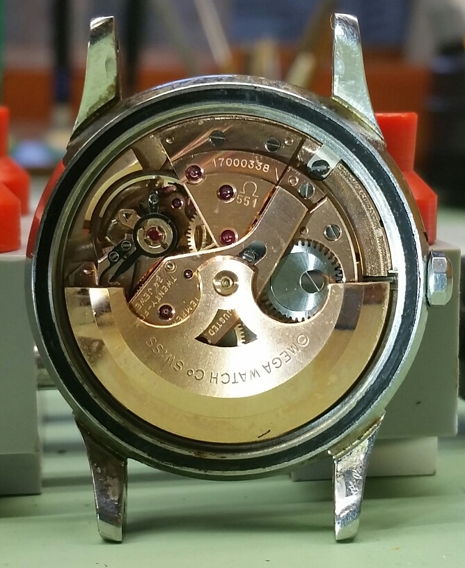 one of 20,000 consecutive movts.JPG