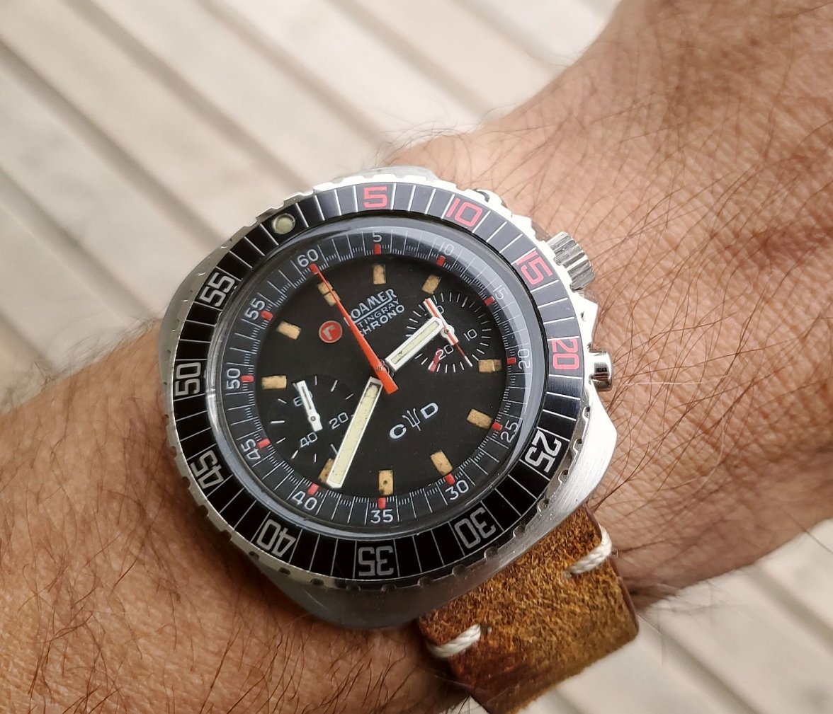 Roamer ws 3 20191028_143904.jpg