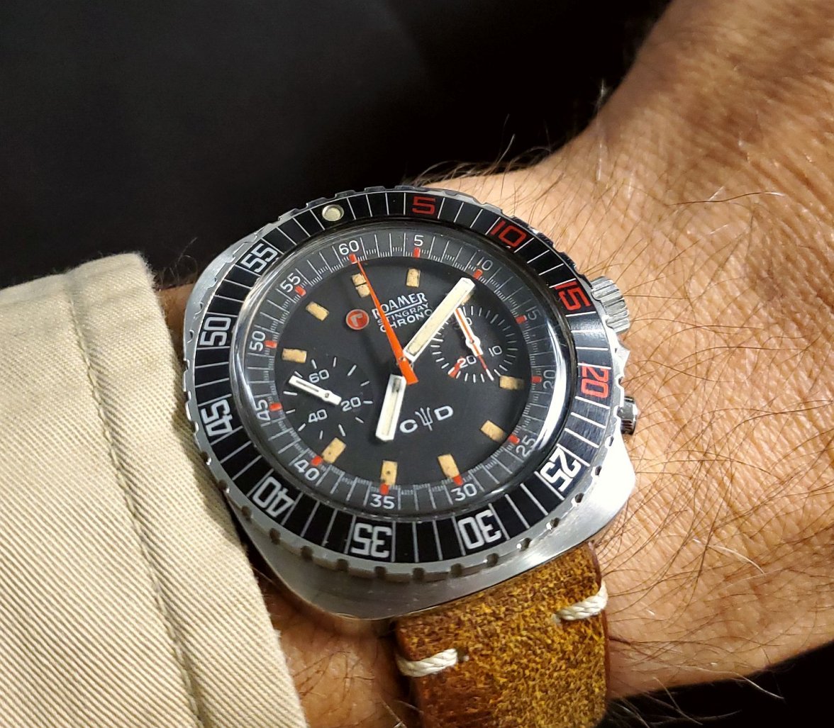 Roamer ws 1 20191030_071035.jpg